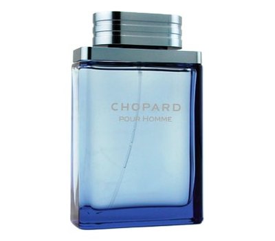 Chopard Pour Homme 104065