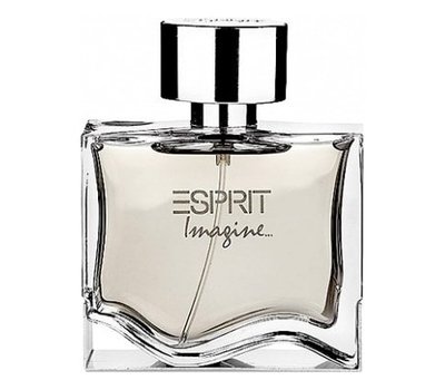 Esprit Imagine men 107646