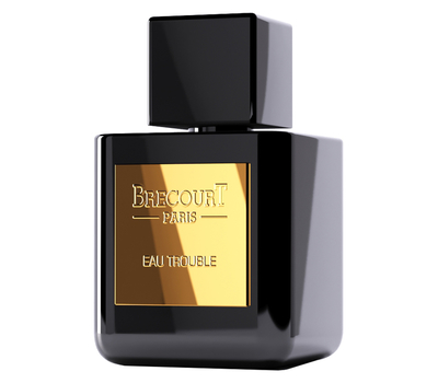 Brecourt Eau Trouble