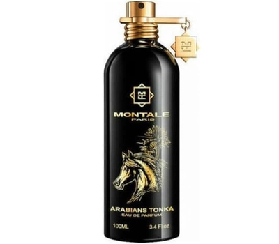 Montale Arabians Tonka 178087