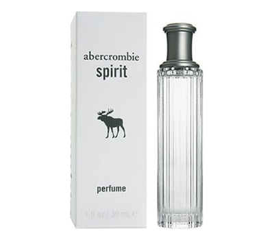 Abercrombie & Fitch Spirit Perfume 46887